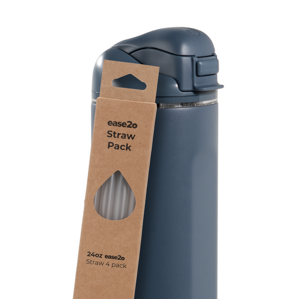 Ease2o Straws 4 Pack 24oz F6